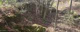  10 Mile Creek Road - Photo 39
