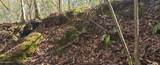  10 Mile Creek Road - Photo 43