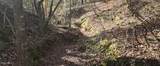  10 Mile Creek Road - Photo 44