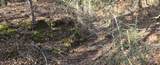  10 Mile Creek Road - Photo 45