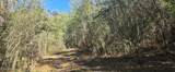  10 Mile Creek Road - Photo 50