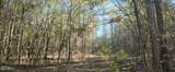  10 Mile Creek Road - Photo 51