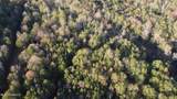  10 Mile Creek Road - Photo 55