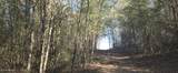  10 Mile Creek Road - Photo 58