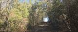  10 Mile Creek Road - Photo 59
