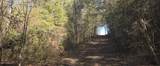  10 Mile Creek Road - Photo 60