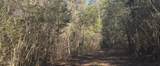  10 Mile Creek Road - Photo 62