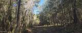  10 Mile Creek Road - Photo 63