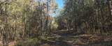  10 Mile Creek Road - Photo 66
