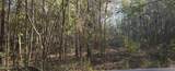  10 Mile Creek Road - Photo 67