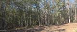  10 Mile Creek Road - Photo 69