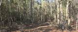  10 Mile Creek Road - Photo 71