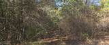  10 Mile Creek Road - Photo 74