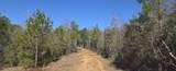  10 Mile Creek Road - Photo 78