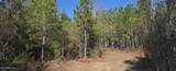  10 Mile Creek Road - Photo 79