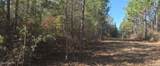  10 Mile Creek Road - Photo 80
