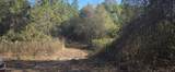  10 Mile Creek Road - Photo 85