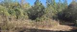  10 Mile Creek Road - Photo 86