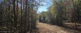  10 Mile Creek Road - Photo 91