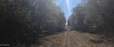  10 Mile Creek Road - Photo 92