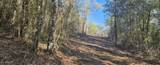  10 Mile Creek Road - Photo 96