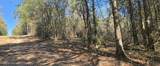  10 Mile Creek Road - Photo 97