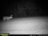 3448 Lower Centreville Road - Photo 34