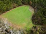 3448 Lower Centreville Road - Photo 5