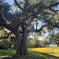 704 Washington Avenue - Photo 2