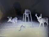 000 Monticello Road - Photo 8