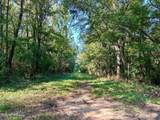 Tbd Williams Street - Photo 1