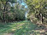 Tbd Williams Street - Photo 2