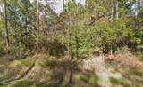 01 Dogwood Drive - Photo 5