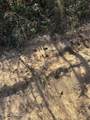  Deer Ridge Road - Photo 11