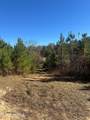  Deer Ridge Road - Photo 15