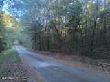  Azalea Lane - Photo 1