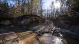 10787 Old Highway 24 Lane - Photo 16