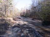 10787 Old Highway 24 Lane - Photo 2