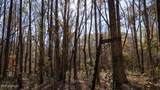 10787 Old Highway 24 Lane - Photo 30