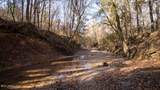 10787 Old Highway 24 Lane - Photo 32