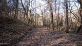 10787 Old Highway 24 Lane - Photo 37