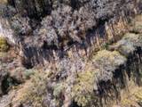 10787 Old Highway 24 Lane - Photo 4