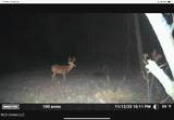 10787 Old Highway 24 Lane - Photo 42