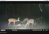 10787 Old Highway 24 Lane - Photo 45