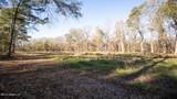 10787 Old Highway 24 Lane - Photo 5