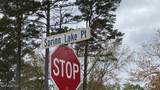 7 Spring Lake Point - Photo 4
