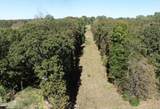 2650 County Road 170 - Photo 23