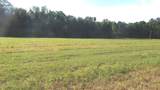 515 County Road 247 Country Road - Photo 14