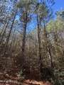 . Dwain Road - Photo 10