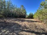 . Dwain Road - Photo 13